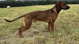 Tatransk� honi� KAIRO HRADOV� HORA